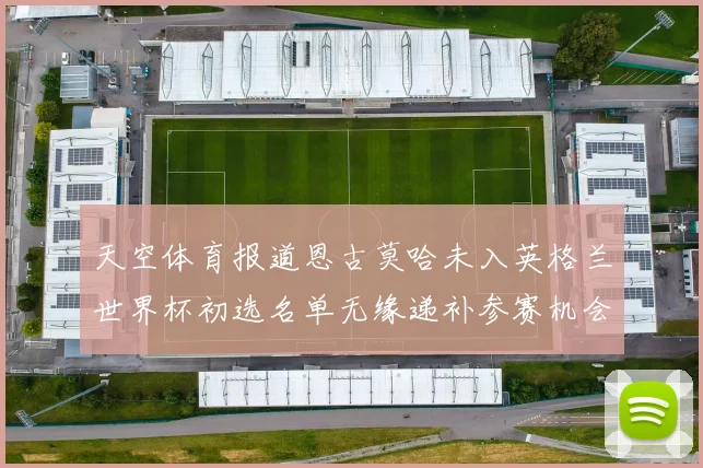 天空体育报道恩古莫哈未入英格兰世界杯初选名单无缘递补参赛机会