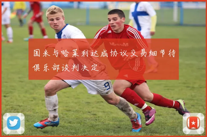 国米与哈莱利达成协议交易细节待俱乐部谈判决定